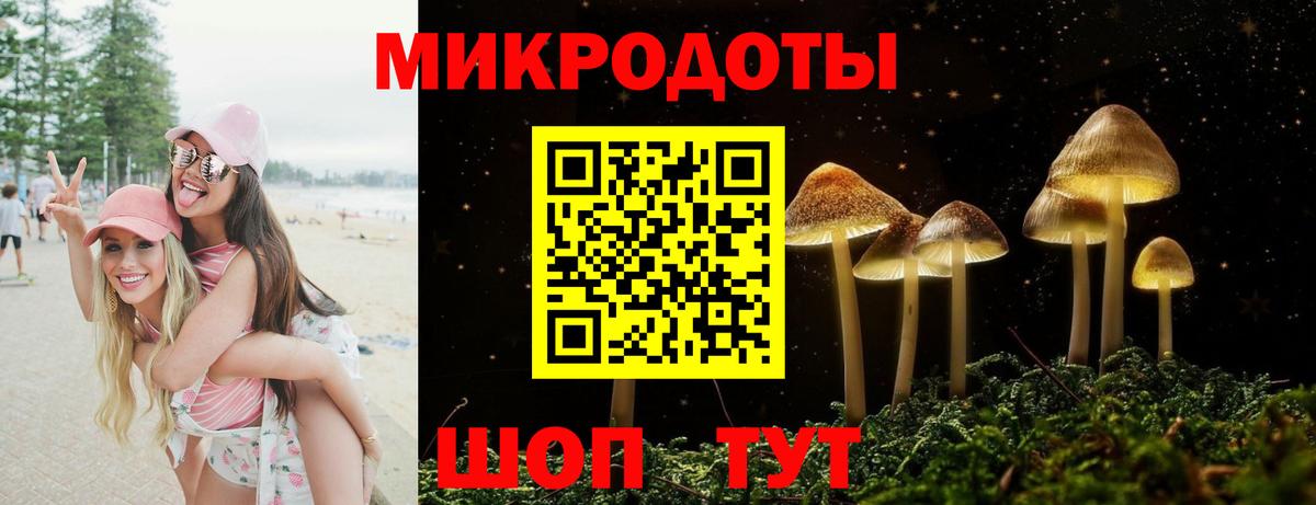 Галлюциногенные грибы GOLDEN TEACHER Сатка
